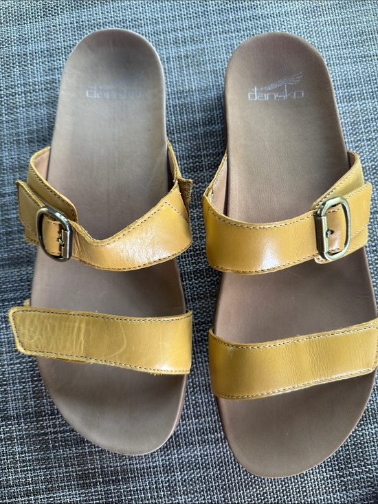 Dansko Shoes - Dansko Justine Women's Two-Strap Leather Slide Sandals with buckle